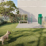 pet place